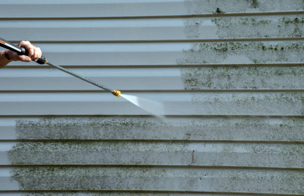 Best Roof Washing  in Treasure Island, FL